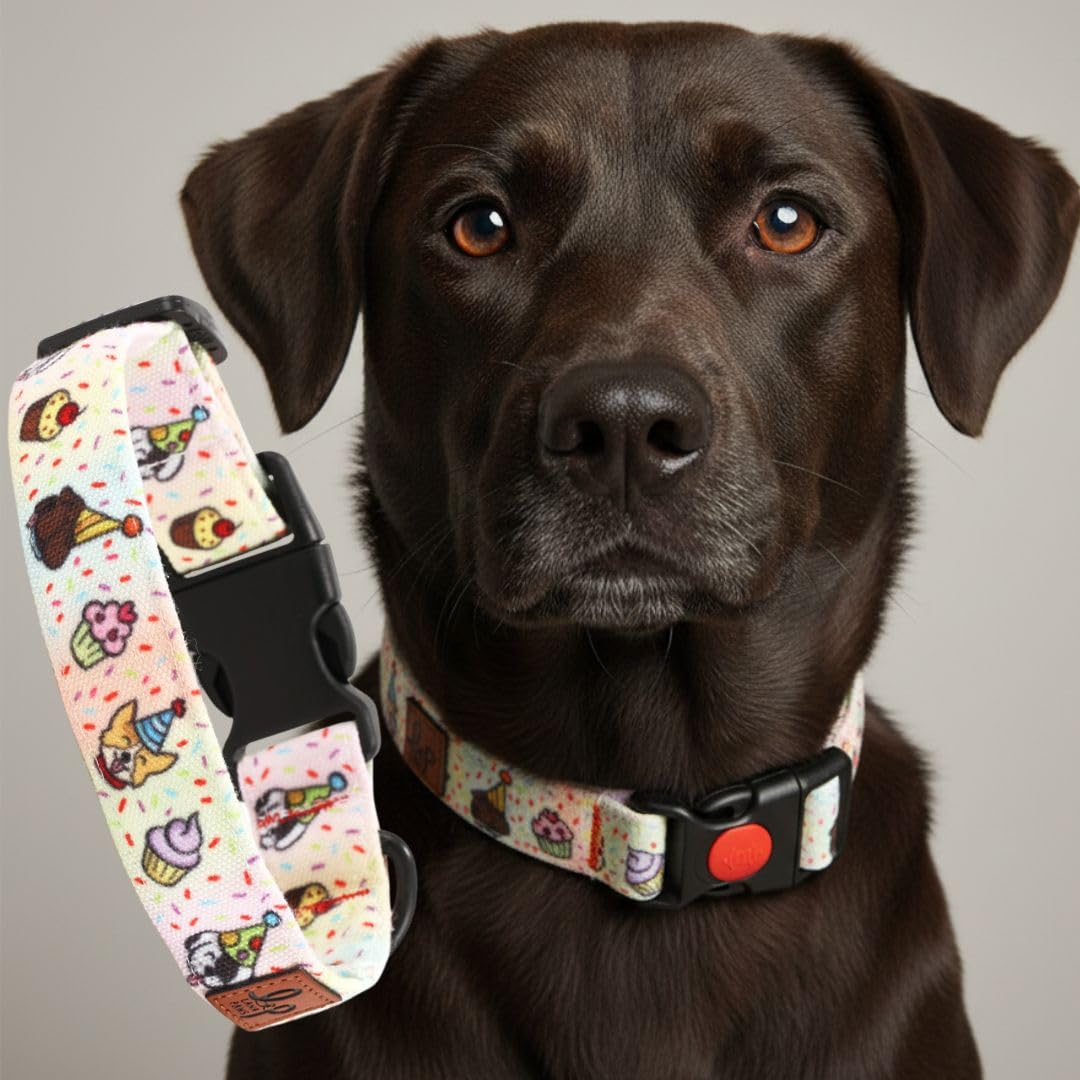Lana Paws Polycotton Party Animal SkinFriendly, Fabric Dog Collar Belt, Large, Adult Labradors, Golden Retrievers & Similar, 24