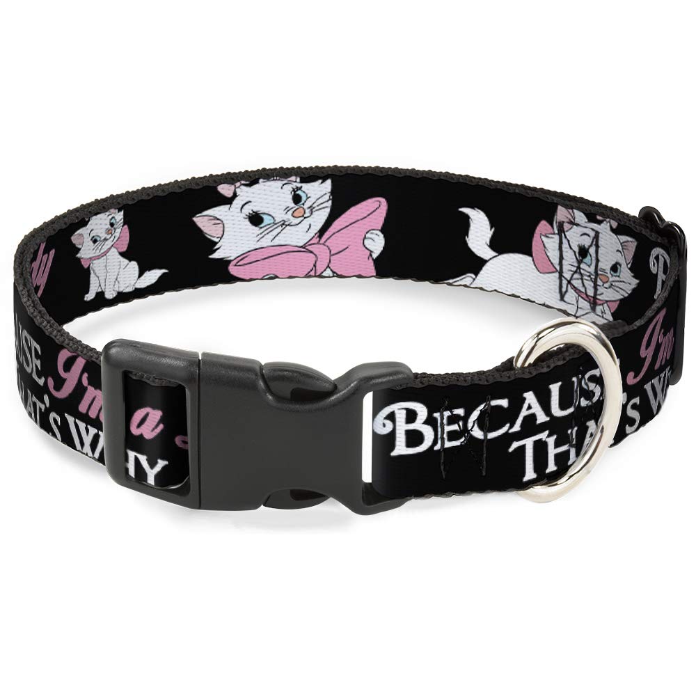 Dog Collar Plastic Clip Aristocats Marie 3 Poses Because Im A Lady Thats Why Black 18 To 32 Inches 1.5 Inch Wide