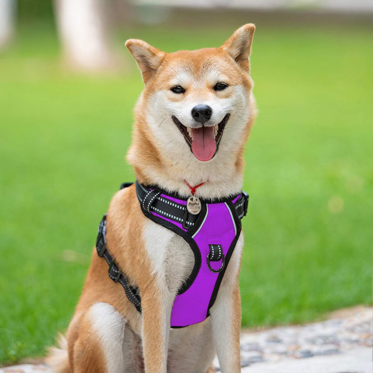 Poypet No Pull Dog Harness, Reflective Comfortable Vest Harness With Front & Back 2 Leash Attachments And Easy Control Handle Ad