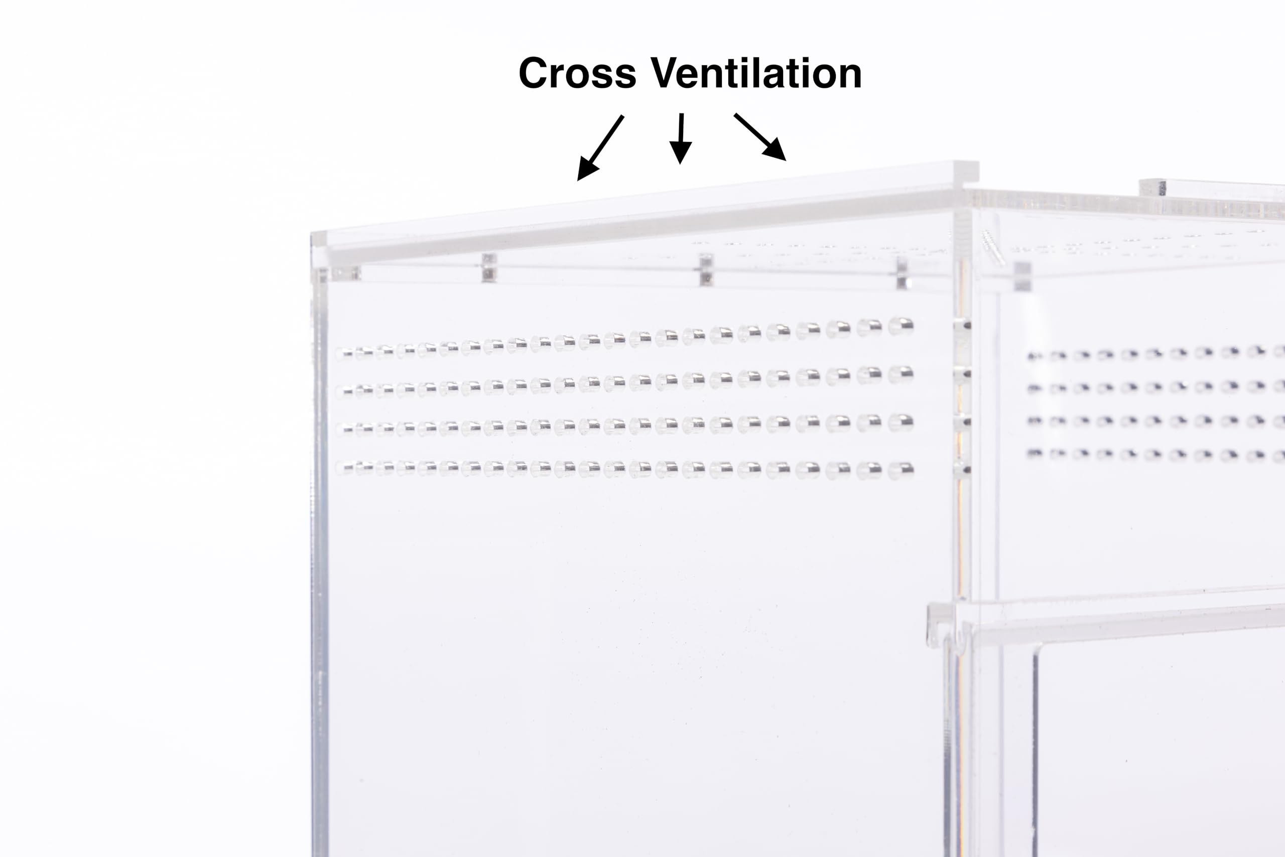 Jumping Spider Enclosure, Praying Mantis Habitat, Insect Terrarium, Bug Enclosure, Spider Cage, Jumping Spider Habitat, Spider T