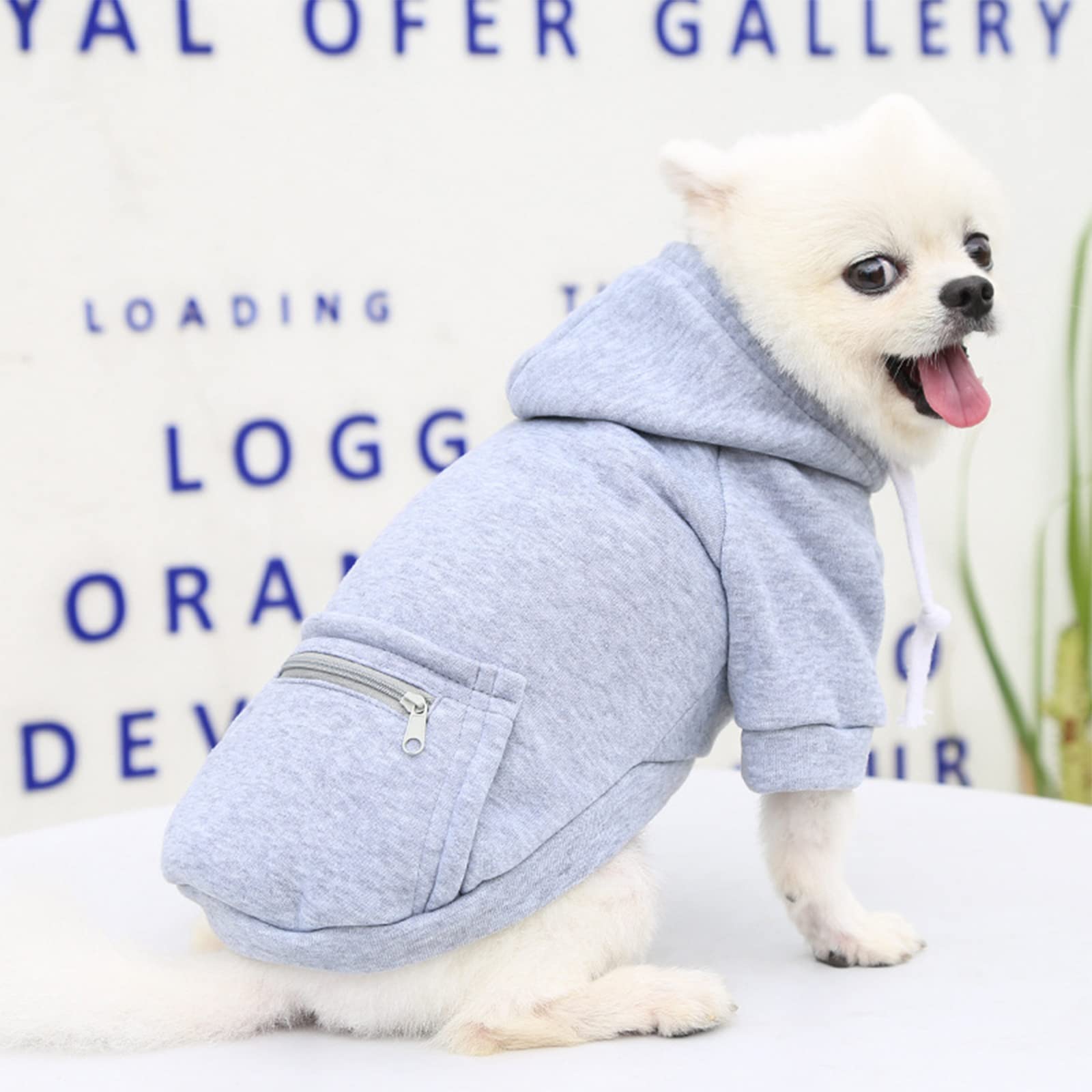Petcare Grey Winter Dog Sweater - Soft Fleece Hooded Sweatshirt With Pocket - Small Dog Clothes For Chihuahua, Yorkies, French B