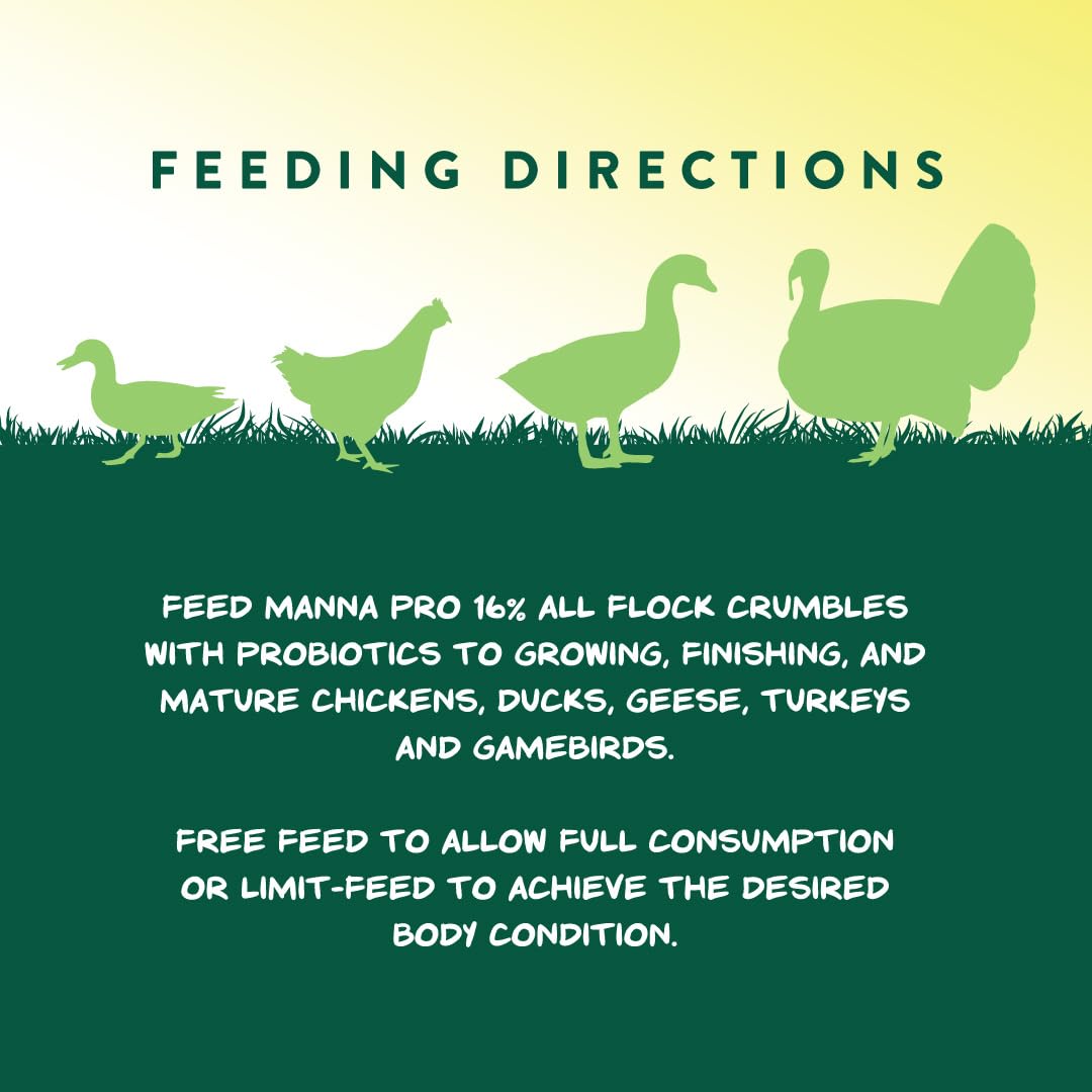 Manna Pro All Flock Crumbles, 16% Protein, Complete Feed for Poultry & gamebirds. Contains probiotics for Digestion, no Artifici