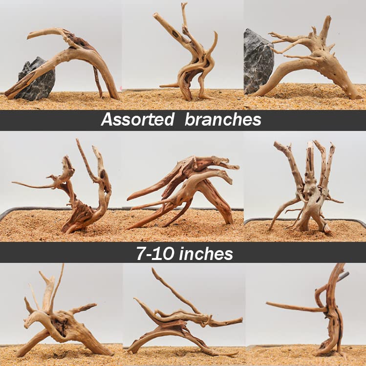Hamiledyi 2 Pcs Natural Aquarium Driftwood Reptile Spider Wood Ornament Assorted Branches Natural Driftwood Log Fish Tank Decora