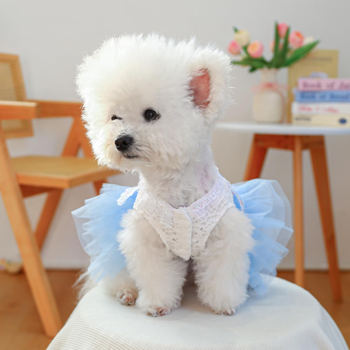 Marupet Fashion Sweet Puppy Dog Blingbling Princess Skirt Pet Dog Lace Cake Camisole Tutu Dress B-Light Blue S