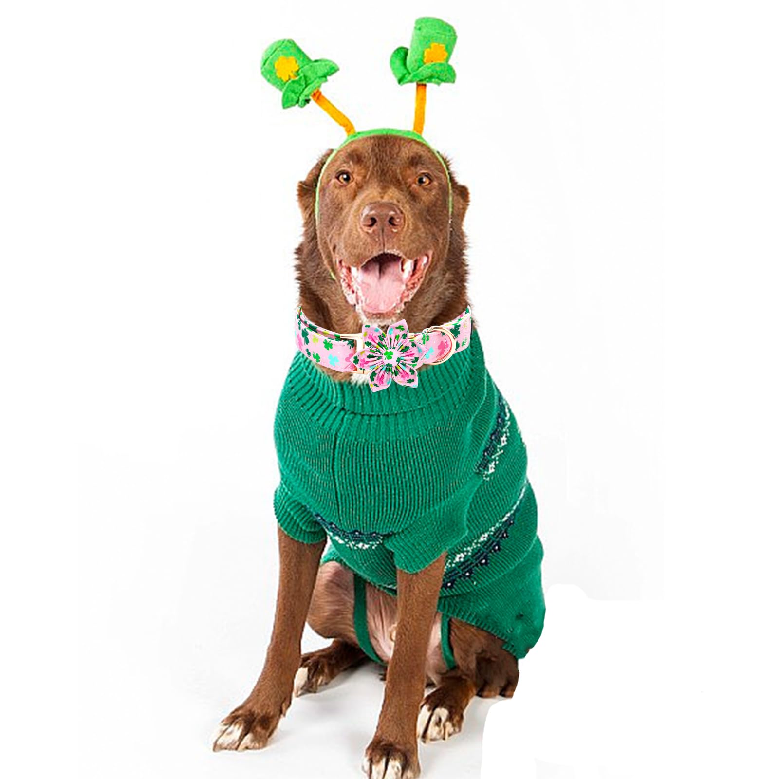 Elegant little tail St Patrick's Dog Collar with Flower Green Cute Colver Cotton Shamrock Pet Collar Trefoil Puppy Collar Flower