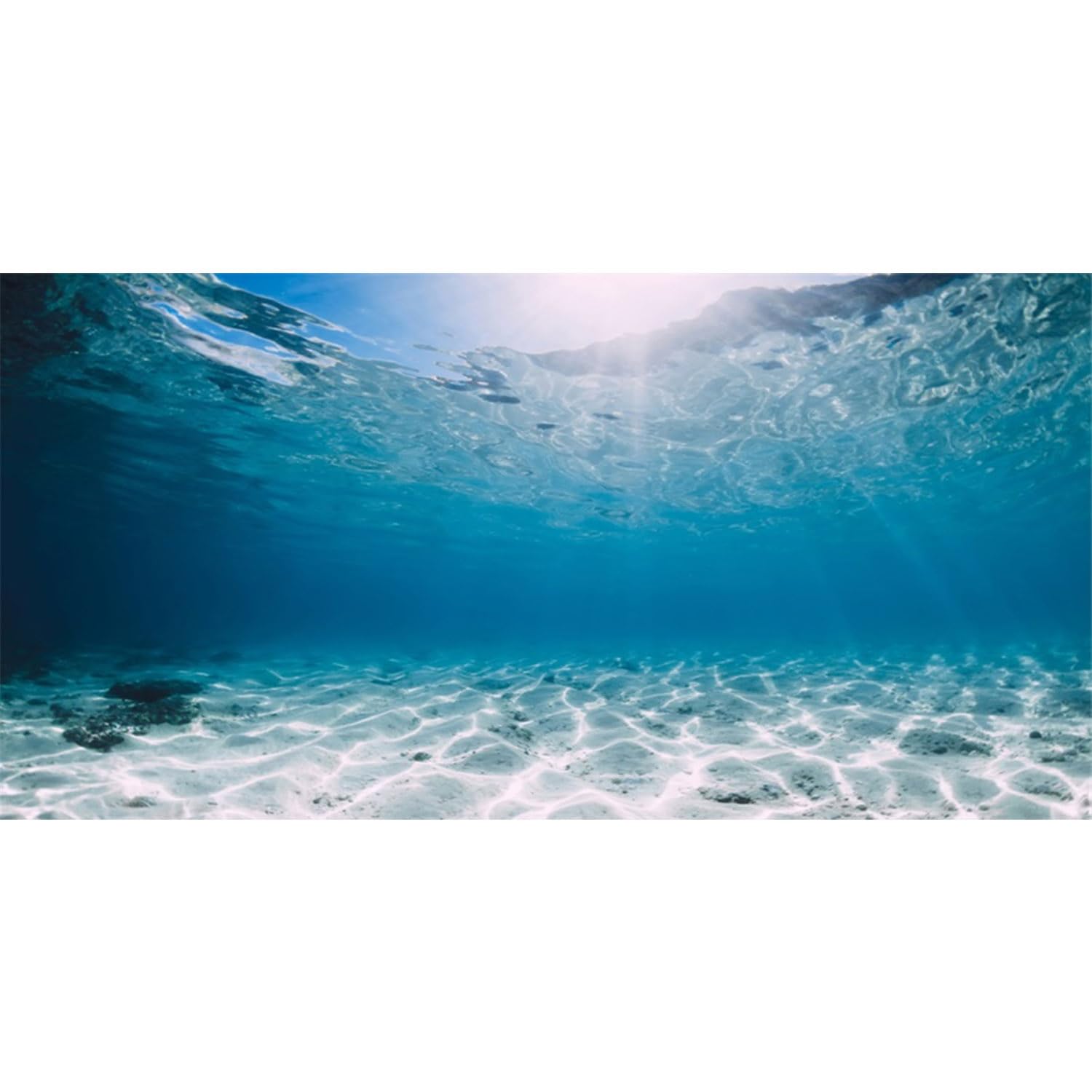 Awert 36X20 Inches Vinyl Undersea Ocean Floor Aquarium Background Tropical Tank Background