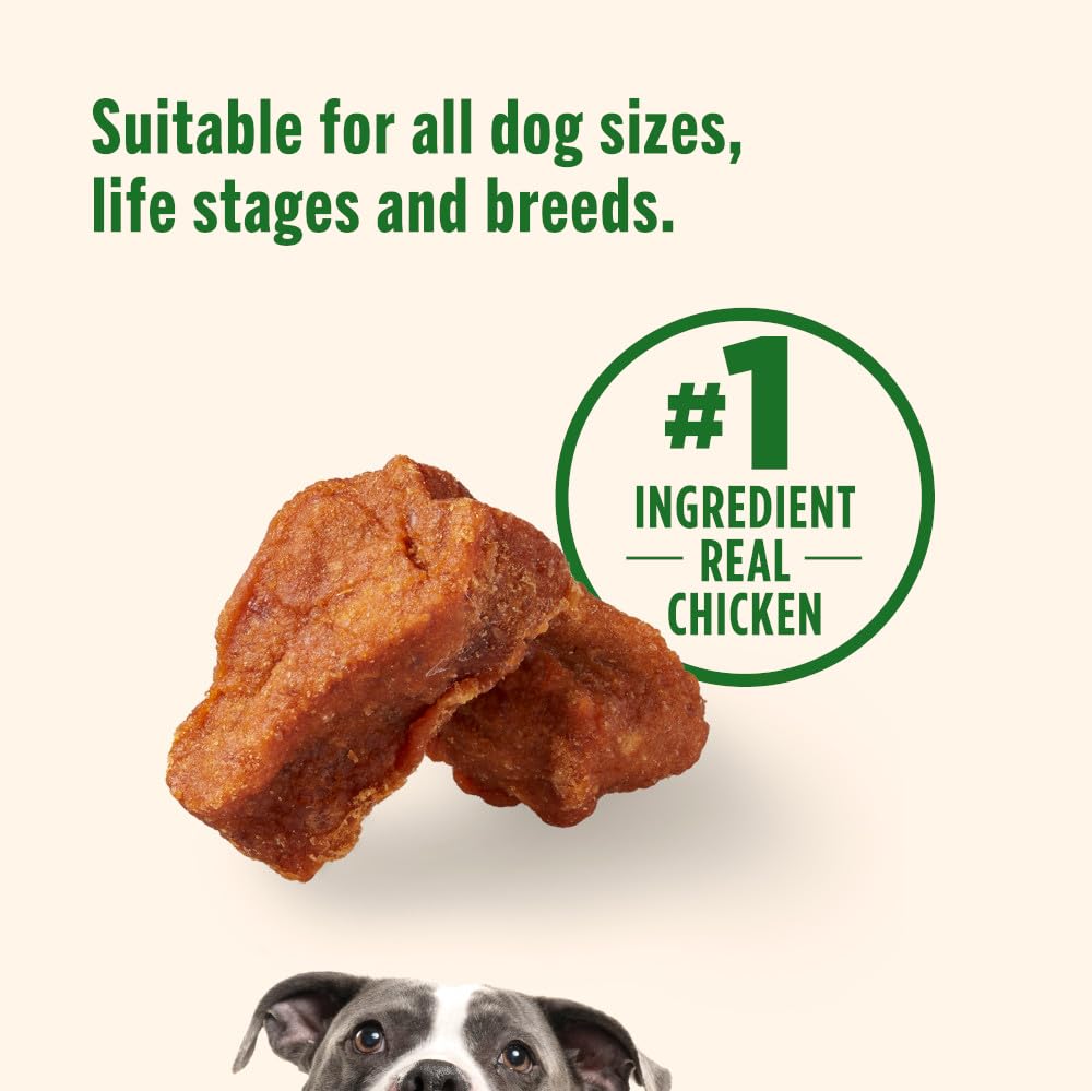 Nutrish Rachael Ray Savory Roasters Real Meat Dog Treats, Roasted Chicken Recipe, 5 Ounces (Pack of 5), Grain Free