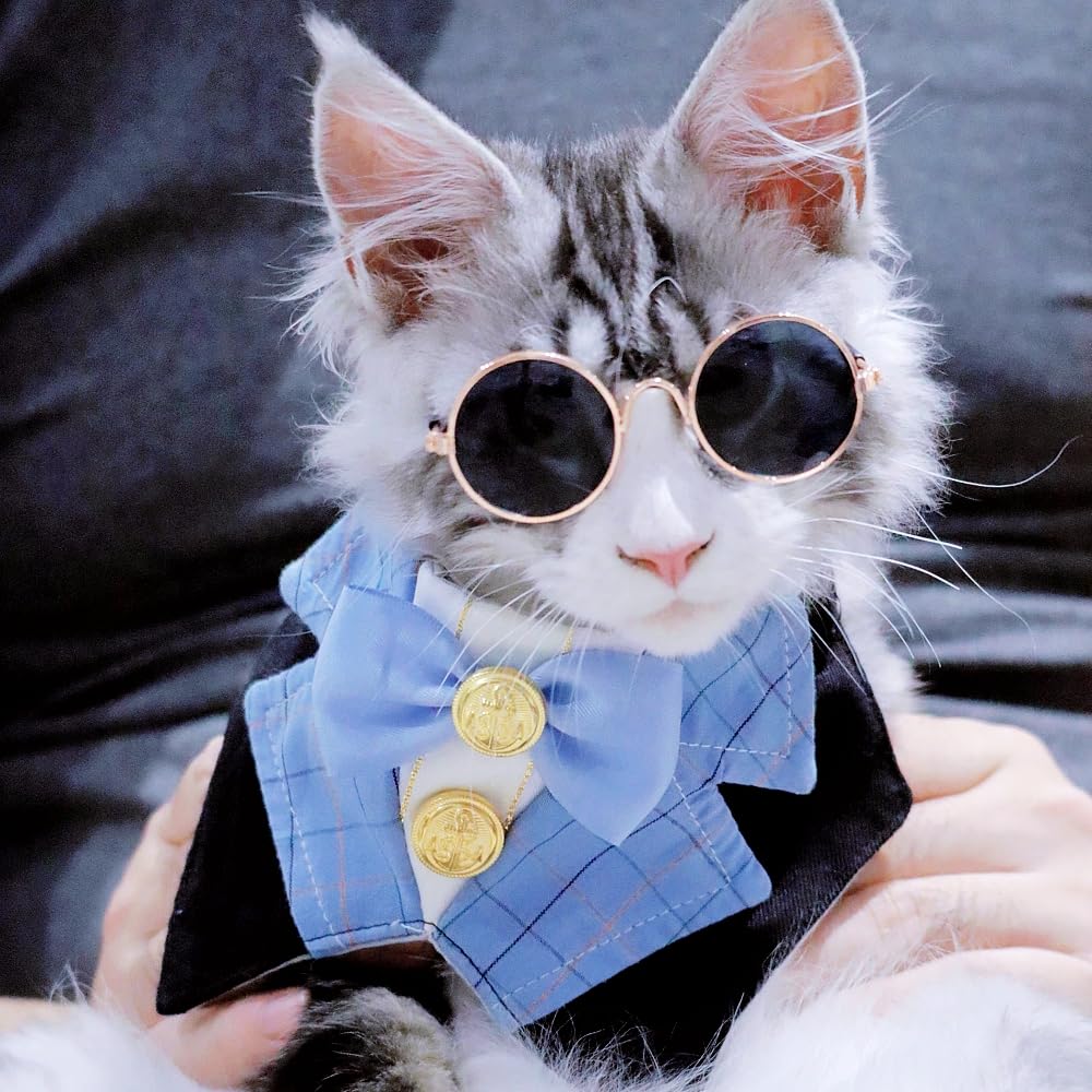 Gallarato Dog Tuxedo Formal Cat Birthday Costume Cat Dog Formal Wedding Attire (Blue)