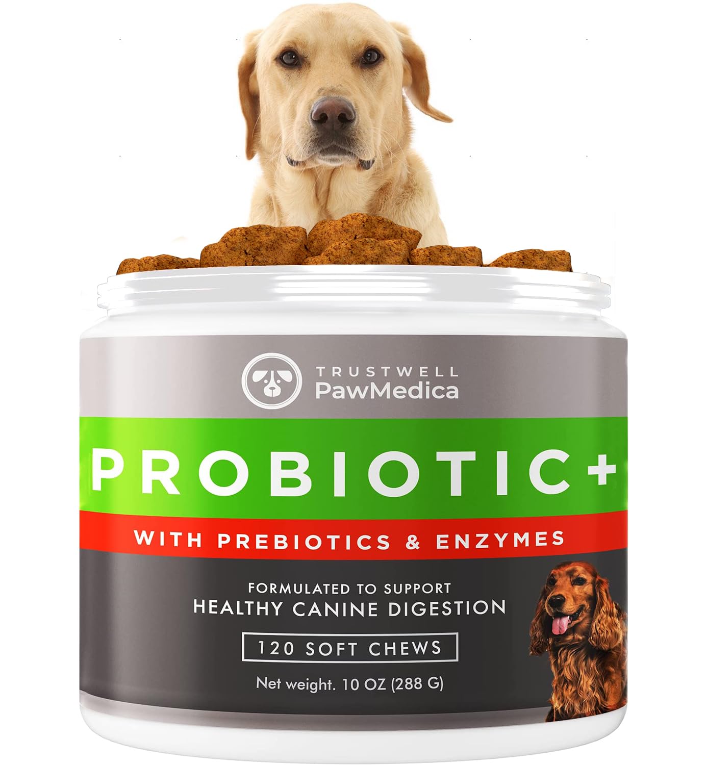 PawMedica Dog Probiotics and Digestive Enzymes, Probiotics for Dogs Made in USA, Pet Probiotic Chews for Dogs, Prebiotics & Prob