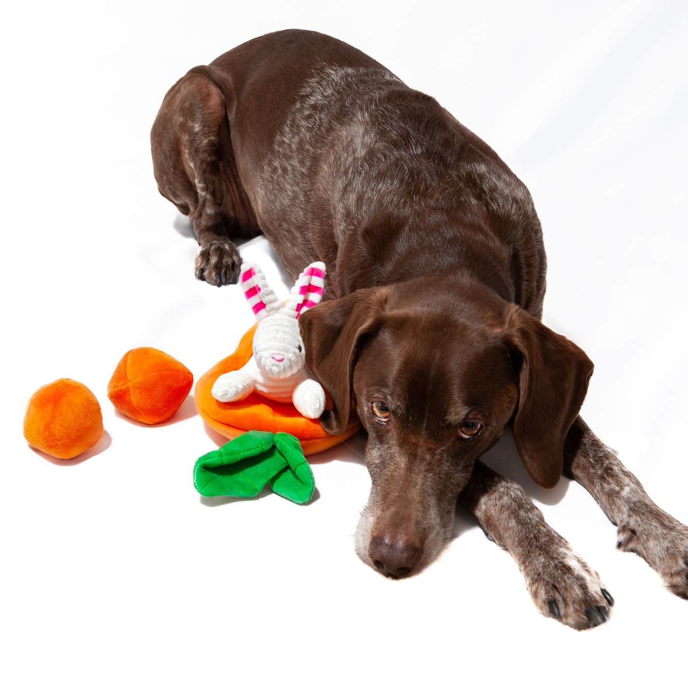 Midlee Hide A Toy Carrot Easter Dog Toy