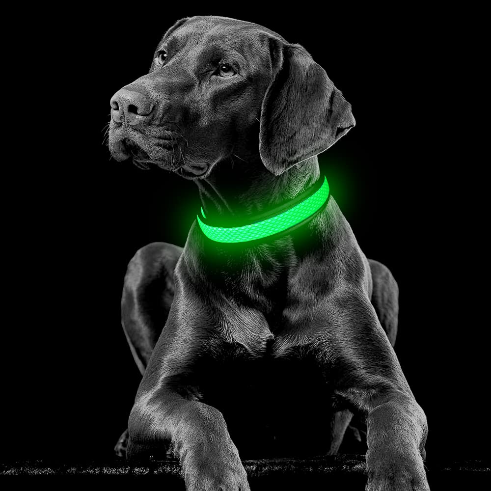 Yfbrite Light Up Dog Collar, Rechargeable Led Dog Collar, Flashing Dog Collar, Adjustable Reflective Dog Collar Safety Glowing At Night (Green, Small)