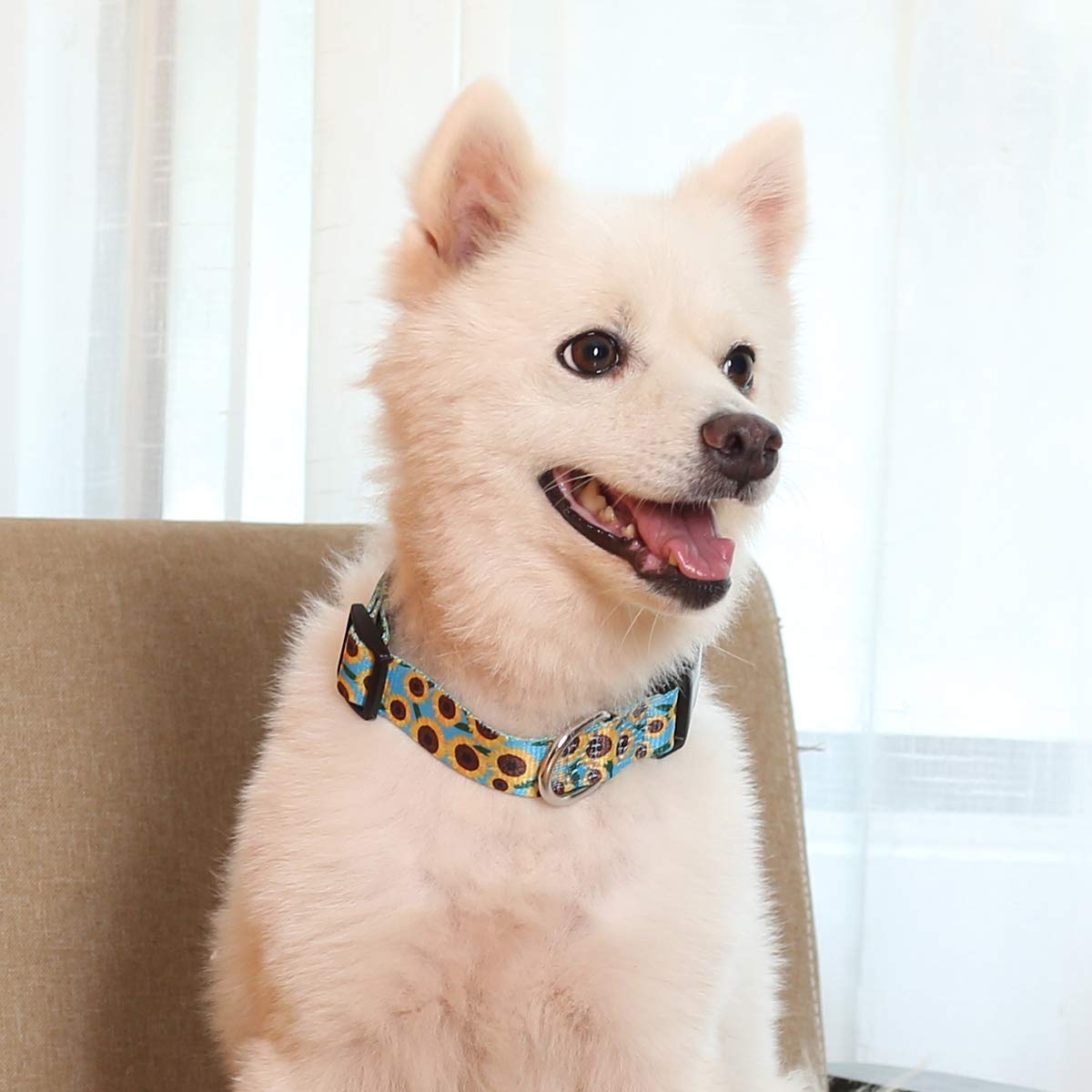 Coomour 2Pcs Sunflower Dog Collars And Pet Floral Leash Set Puppy Adjustable Collars For Small Medium Large Dogs Boys Girls (X-L