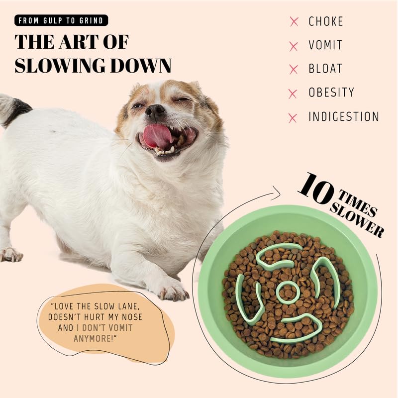 AVERYDAY Slow Feeder Dog Bowls for Medium Breeds Fits Raised Feeding Station, Puzzle Dog Food Bowls to Slow Down Eating, Dogs Fe