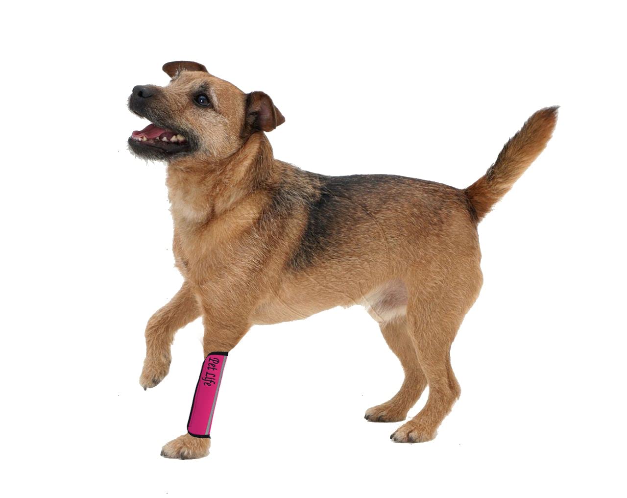 Extreme-Neoprene Joint Protective Reflective Pet Sleeves(D0102H7LZGV.)
