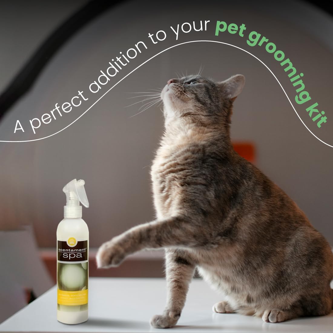 Best Shot Scentament Spa Botanical Body Splash, Detangler Spray, Body Spray For Pets, Cat And Dog Cologne Spray, Lemon Vanilla, 8 Oz.