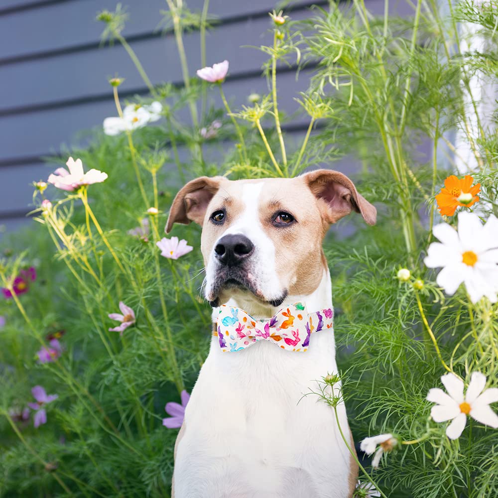 Unique Style Paws Easter Dog Collar, Holiday Bunny Eggs Dog Collar Bowtie, Pet Collar Bow For Small Medium Large Dogs