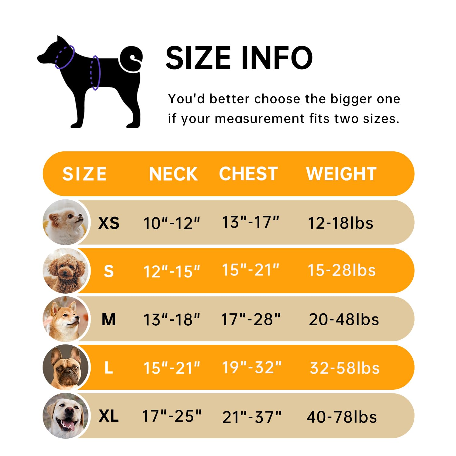 IVY&LANE No Pull Dog Harness for Medium Dogs, Soft Mesh, Adjustable, Reflective, Orange