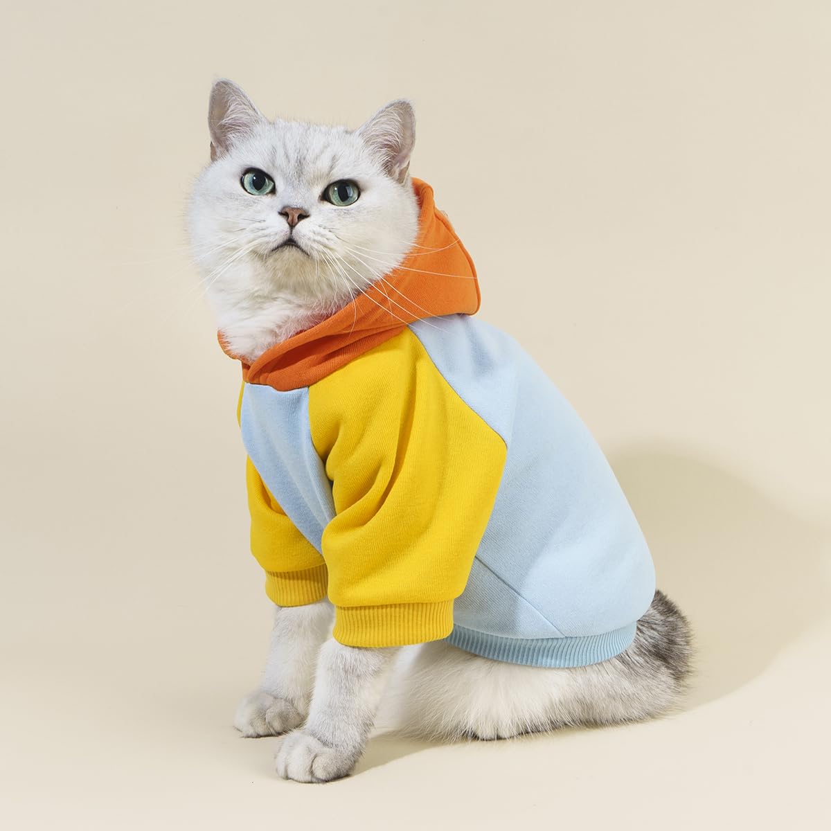 Qwinee Basic Dog Hoodie, Warm Jacket, Cat Apparel, Shirt, Clothes For Puppy Kitten Small Medium Dogs Cats - Orange And Blue Smal