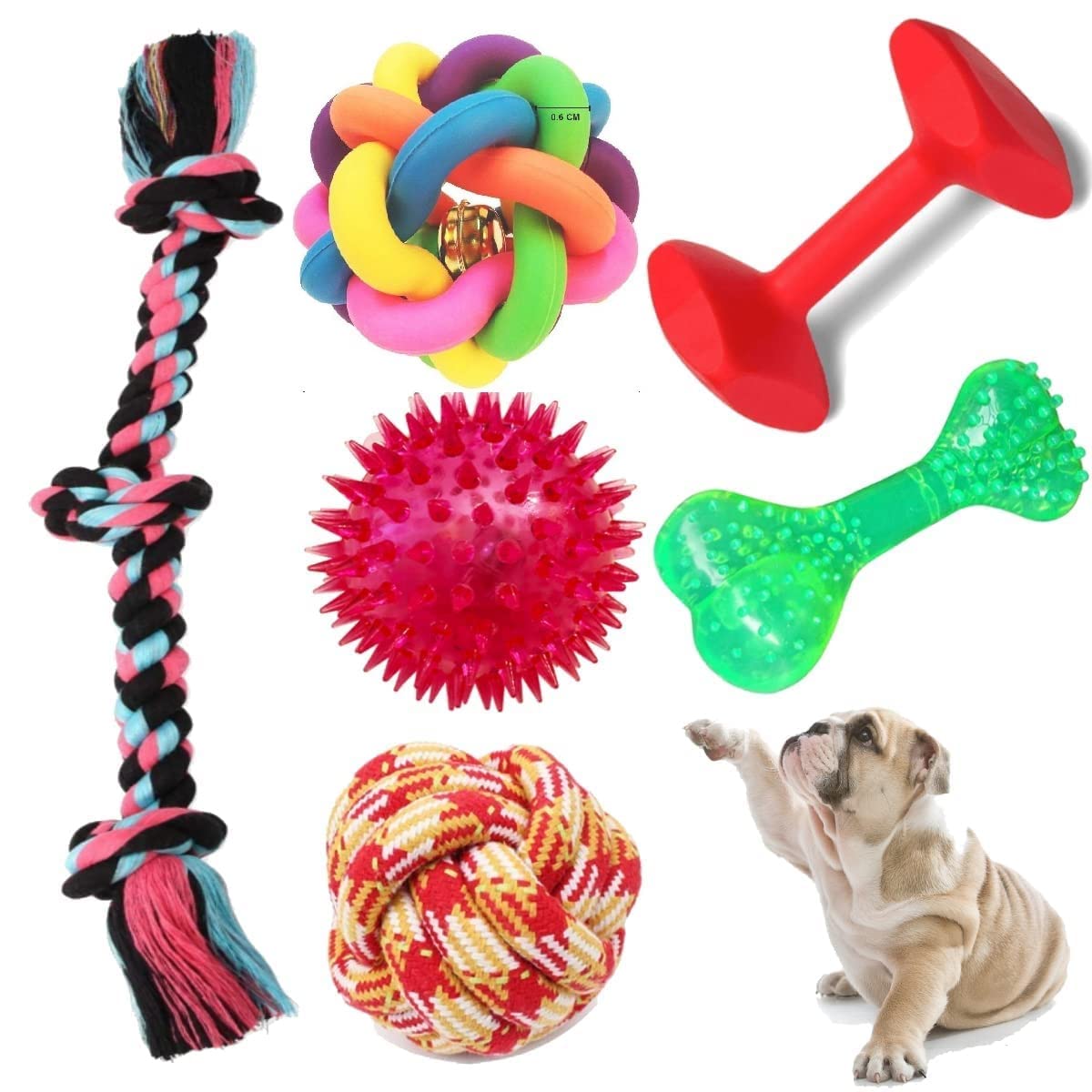 Dog Trust Dog Toys Combo: Multicolor, Colorful, Small Breed Dogs, Chew Toys, Rubber, Exercise Toys, 6 Pack