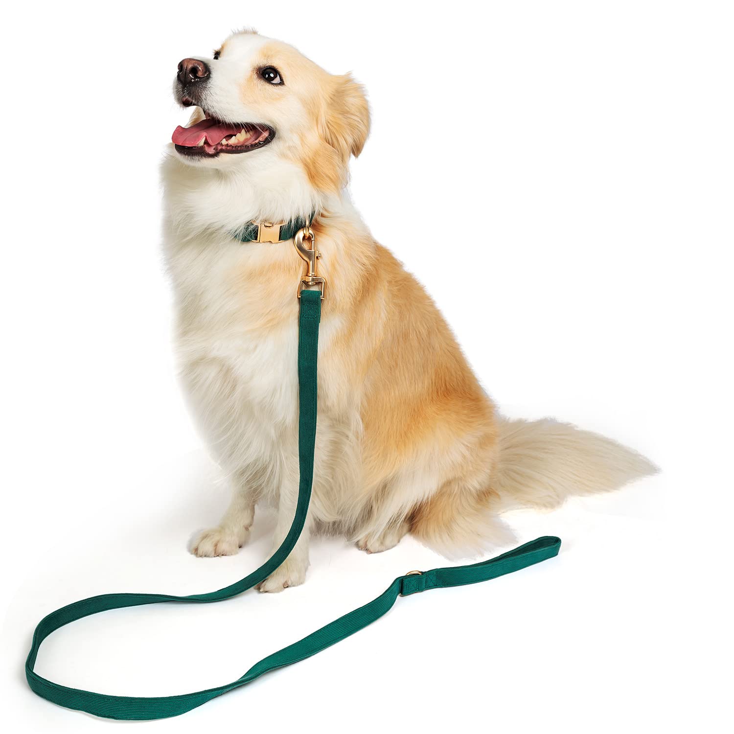 Ewinoom Soft Cotton Dog Leash, 5 Ft Heavy Duty Corduroy Dog Leashes With Gold Metal Hook For Small Medium Large Dogs,Small,Dark