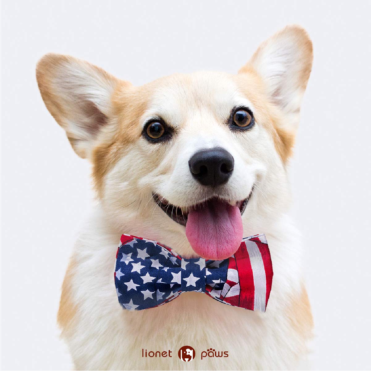 Lionet Paws Patriotic Dog Collar With Bowtie, 4Th Of July, Soft And Comfortable, Adjustable Collar For Medium Dogs, Neck 13.5-22