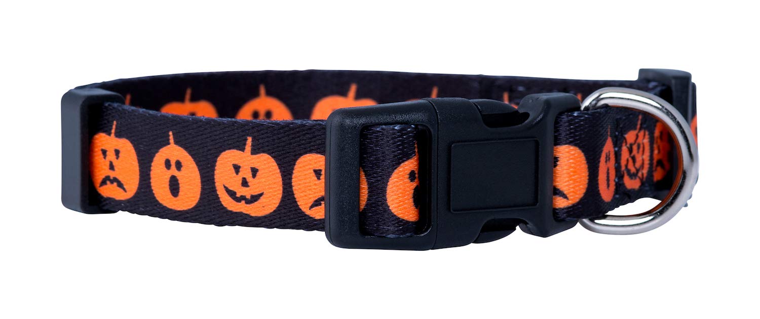 Native Pup Halloween Dog Collar (Medium, Big Pumpkins)