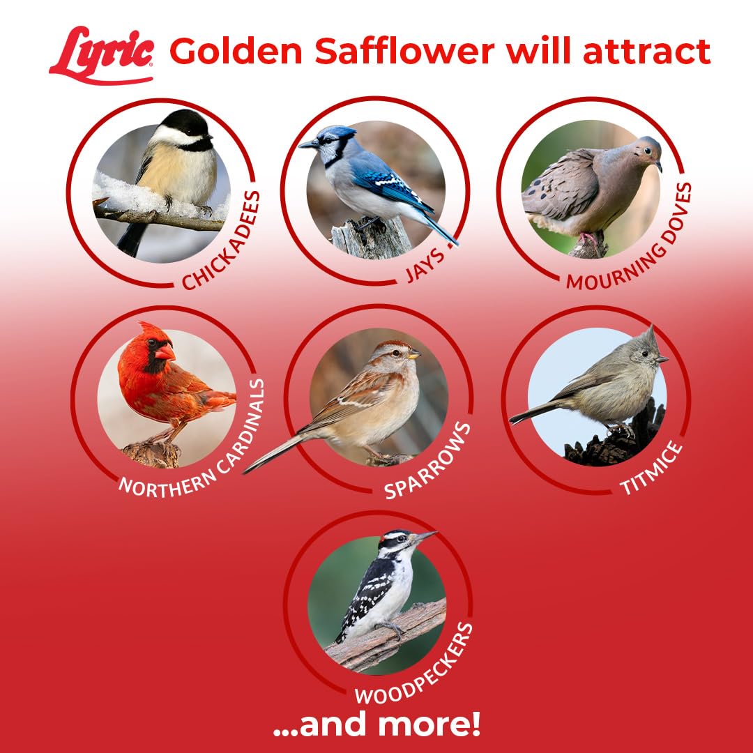 Lyric Golden Safflower Seed - Attracts Cardinals, Chickadees, Woodpeckers & More - 12 lb Bag