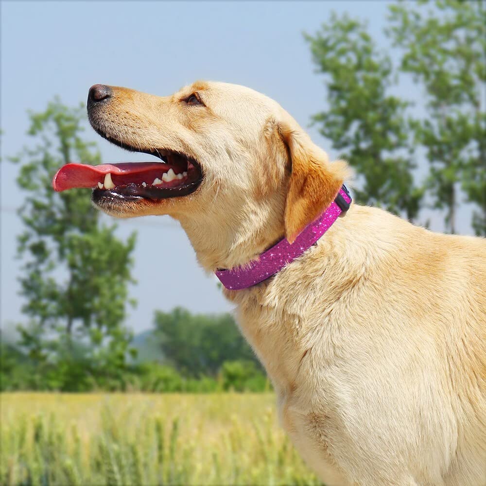 Tdtok Glittering Basic Dog Collar, Comfy & Durable Dog Collar For Small Medium Large Dogs With Eco-Friendly Plastic Buckle, Adju