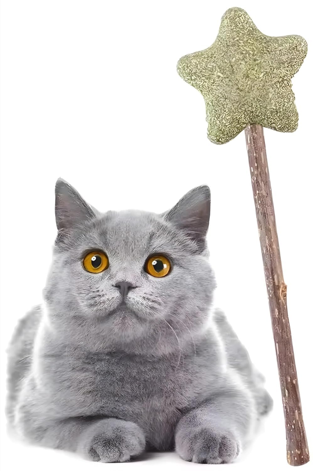 Pawlites Silvervine Catnip Ball For Cats, Teeth Cleaning Molar Toy, StickOn Rotating Lollipop Cat Toy For Indoor Cats & Kittens