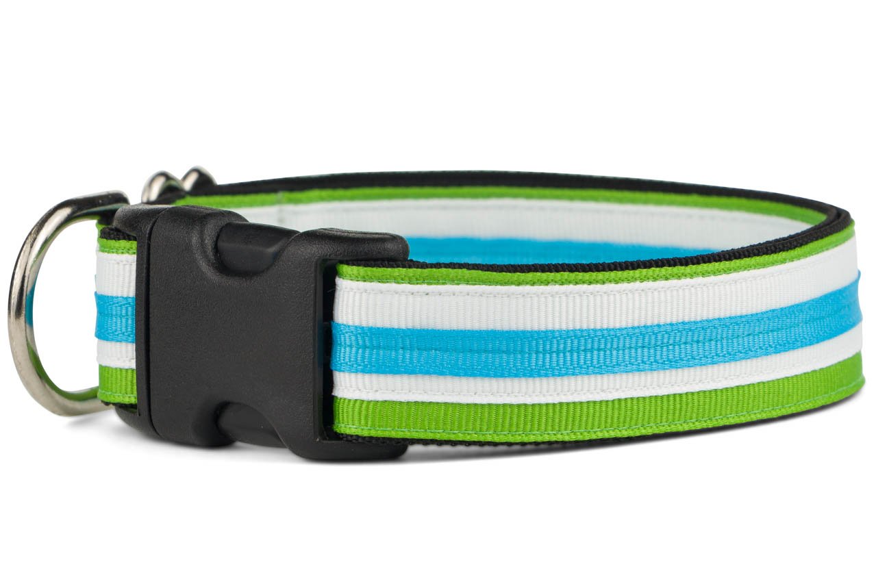 If It Barks 1'' Designer Striped Dog Collar (Large (19''-30''), Pacific)