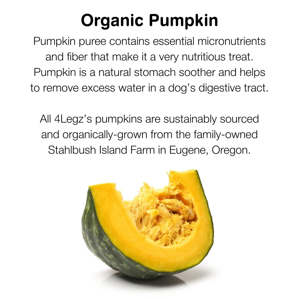 4Legz Organic Pumpkin Vegan Dog Treats from Low Fat & Crunchy Natural Snack Biscuits for Dogs Small, Medium & Large - Made in US