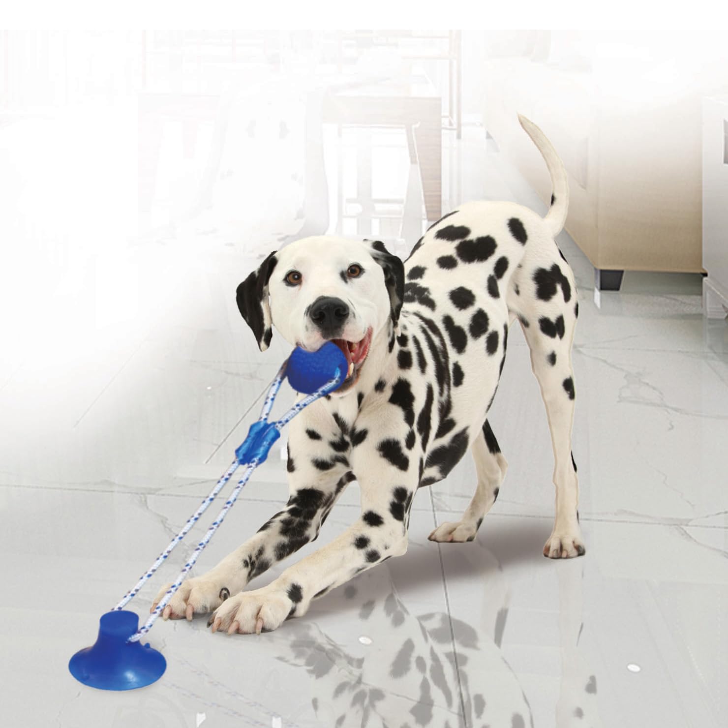 SPOT Press & Pull Interactive Dog Toy 17''