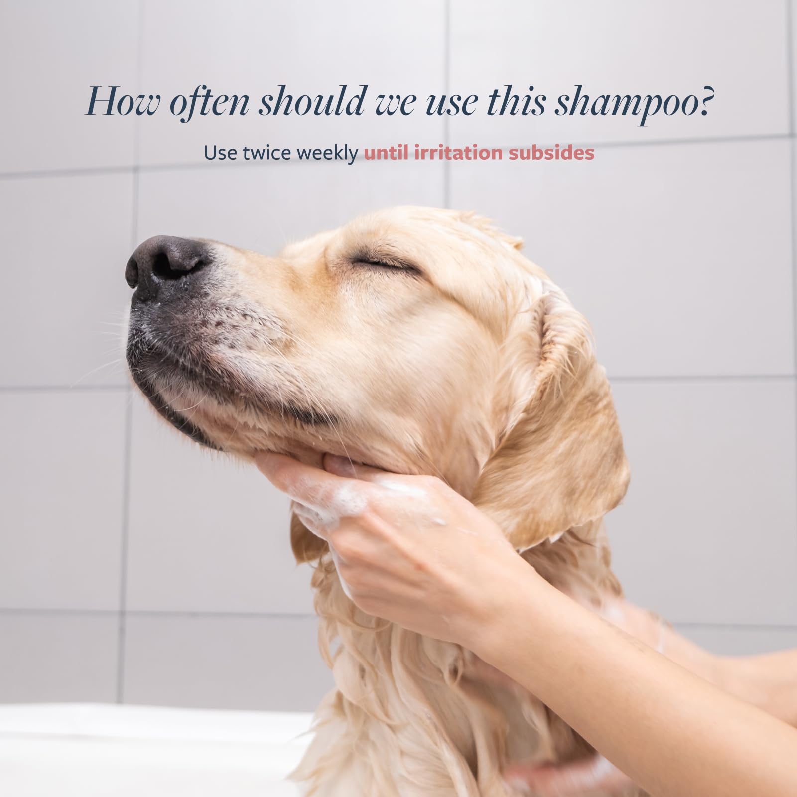 Veterinary Formula Clinical Care Hot Spot & Itch Relief Medicated Shampoo For Dogs And Cats 128Oz - Helps Alleviate Sensitive Sk