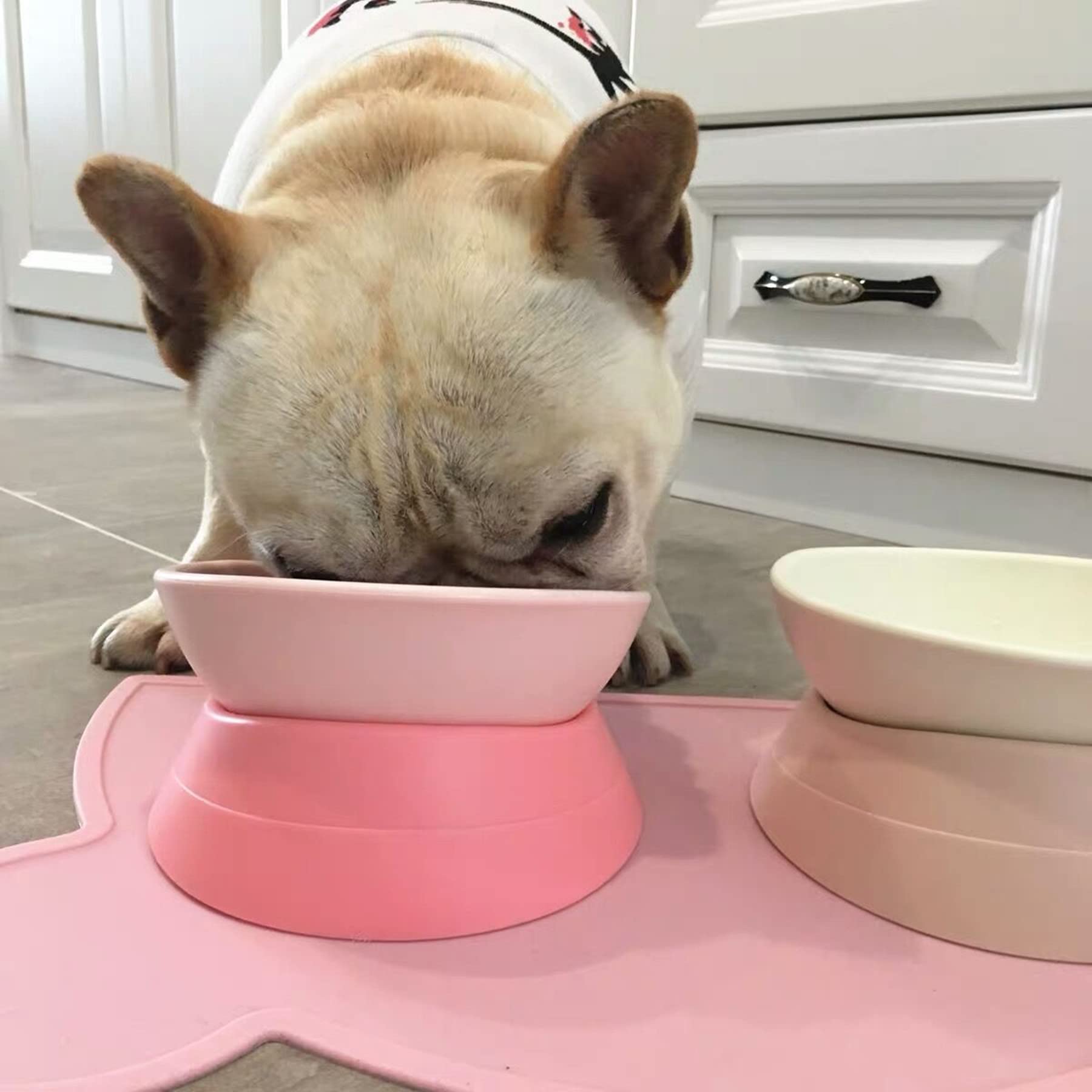 French Bulldog Food Bowl- Slanted Tilted Pug Food Water Bowl,Cat Bowl- Feeder for Frenchie/Shih Tzu/Flat Faced Small Dogs/Puppie
