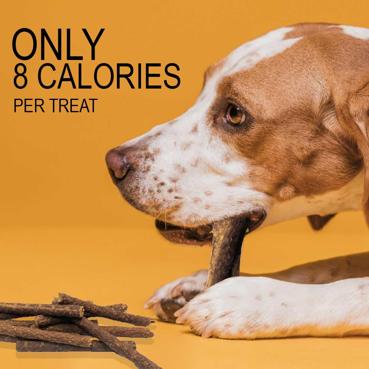 Chicken Soup for the Soul All Natural Premium Savory Sticks Soft & Chewy Dog Treats, Real Beef First Ingredient, No by-Products,