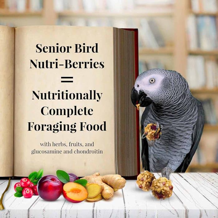 LAF 10OZ PAR SENIOR NUTRI-BERRIES