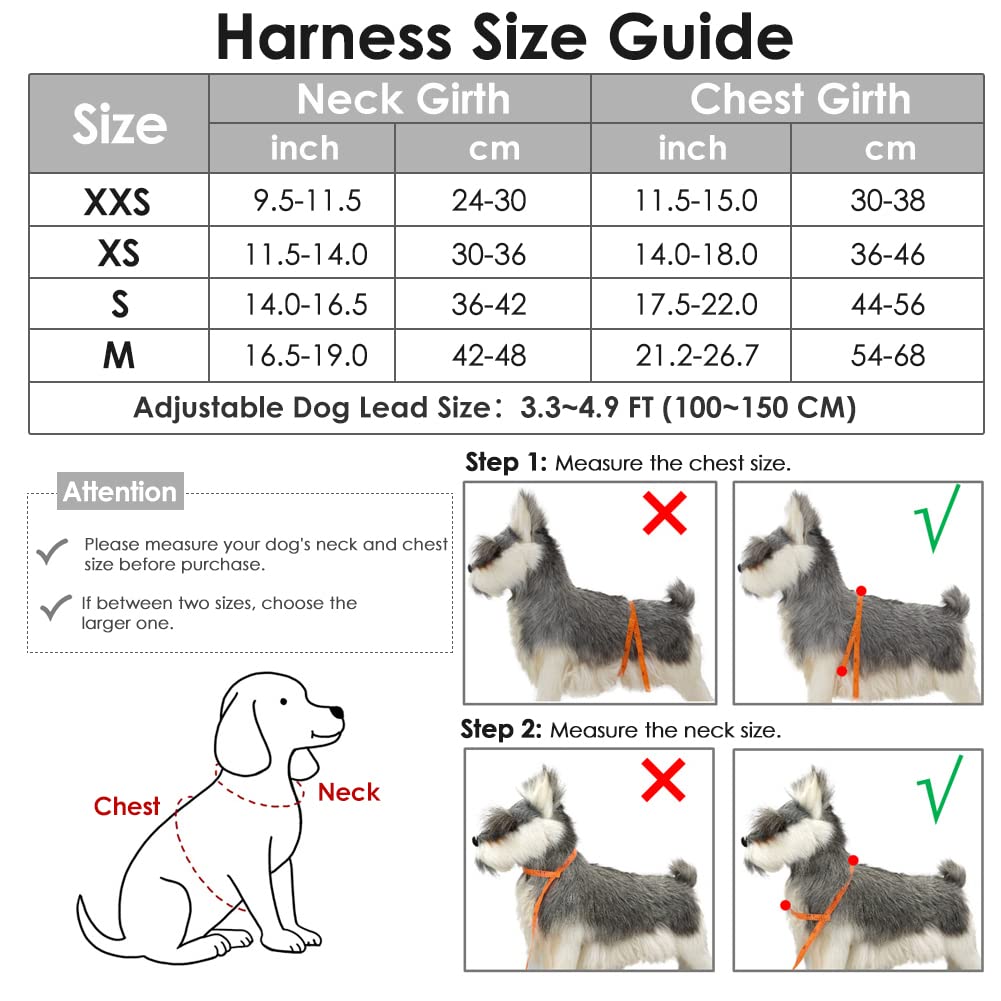 Slowton No Pull Small Dog Harness And Leash Set, Puppy Soft Vest Harness Neck & Chest Adjustable, Reflective Lightweight Harness & Anti-Twist Pet Lead Combo For Small Medium Dogs (G-Front Clip,Xxs)