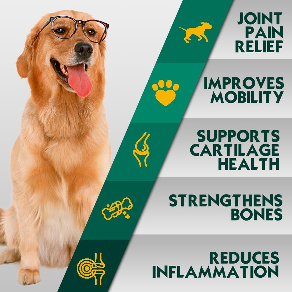 PetriMins Advanced Hip & Joint Supplement for Dogs with Glucosamine and Chondroitin, for Dogs Glucosamine, Organic Turmeric, Egg