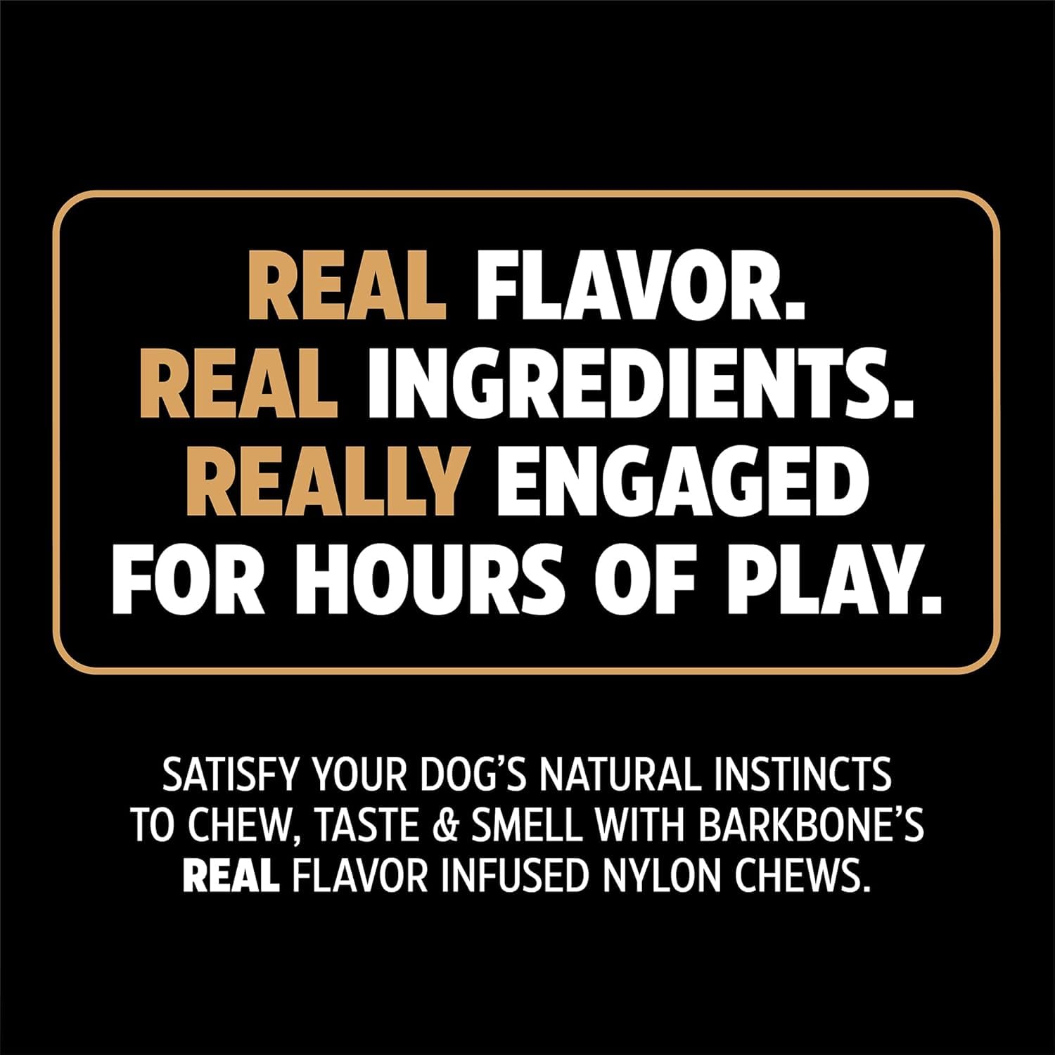 Pet Qwerks Barkbone Chew Ring Dog Toy - Chamomile Vanilla, 5.75" Nylon, Brown, Model 35045