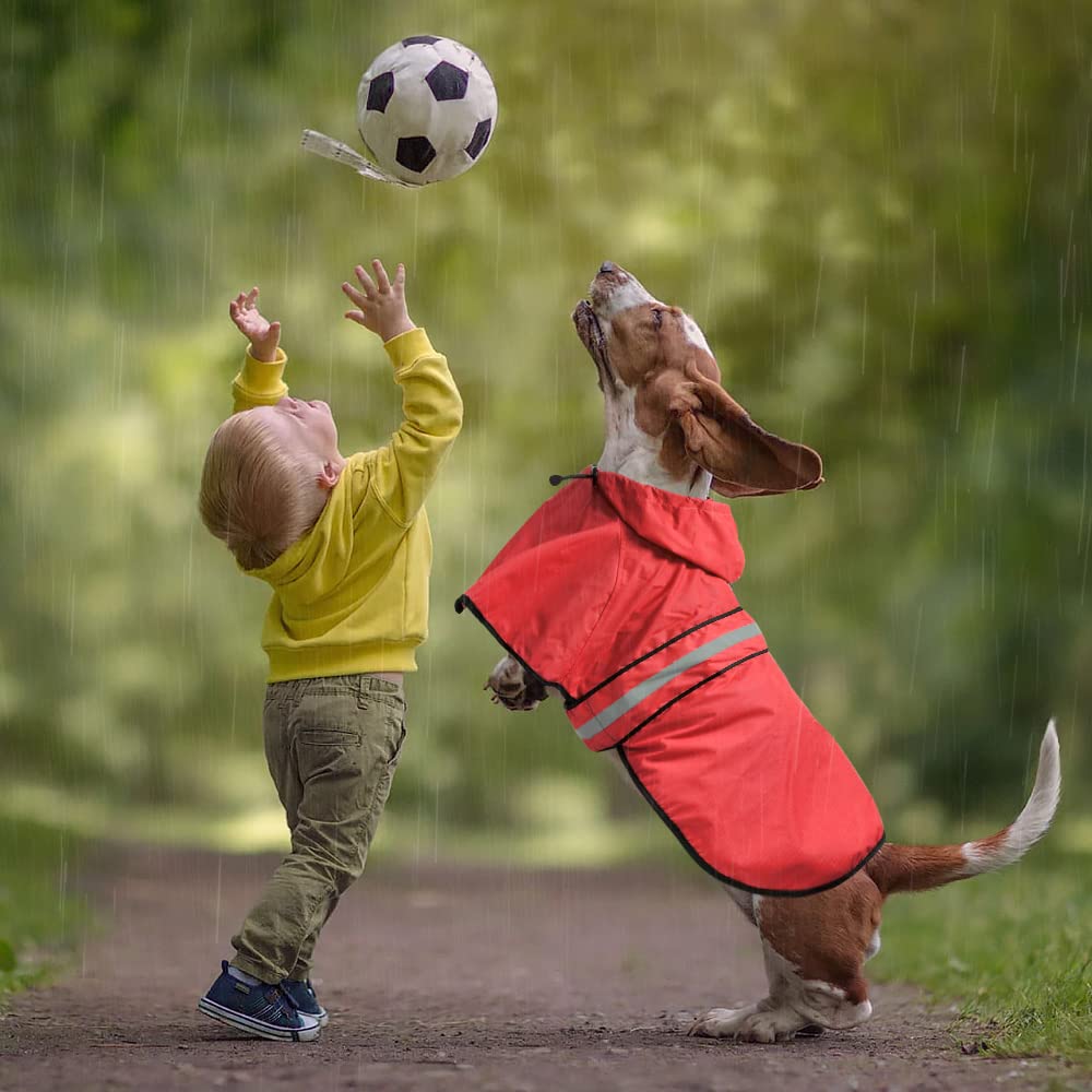Ezierfy Waterproof Dog Raincoat - Reflective Adjustable Pet Rain Coats Jacket, Lightweight Dog Hooded Poncho Raincoats For Small Dogs (Red, Medium)