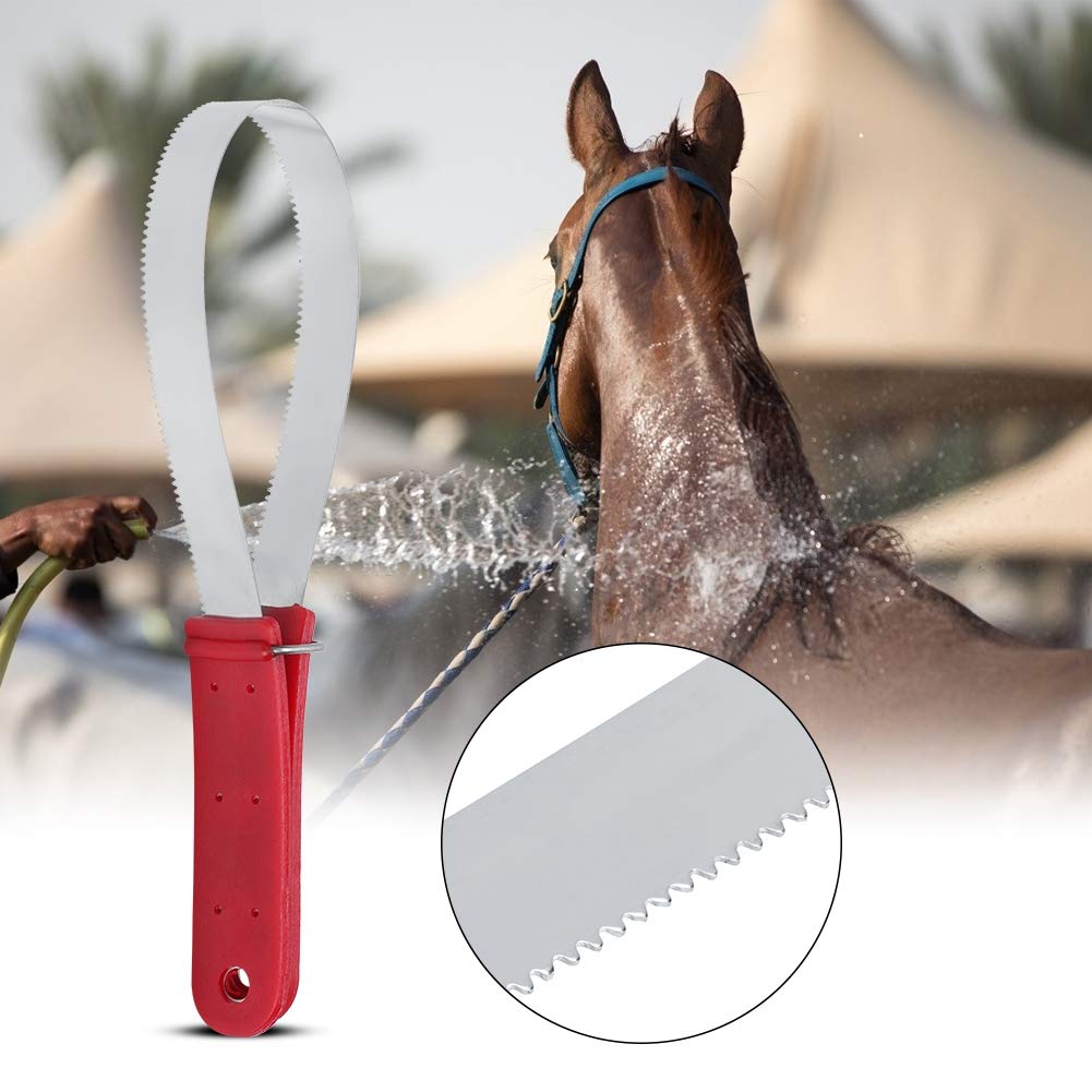 QANYEGN Stainless Steel Shedding Blade, Dog Shedder Scraper Tool Nonslip Handle, Multi Purpose Grooming Scratching ARY for Dogs,