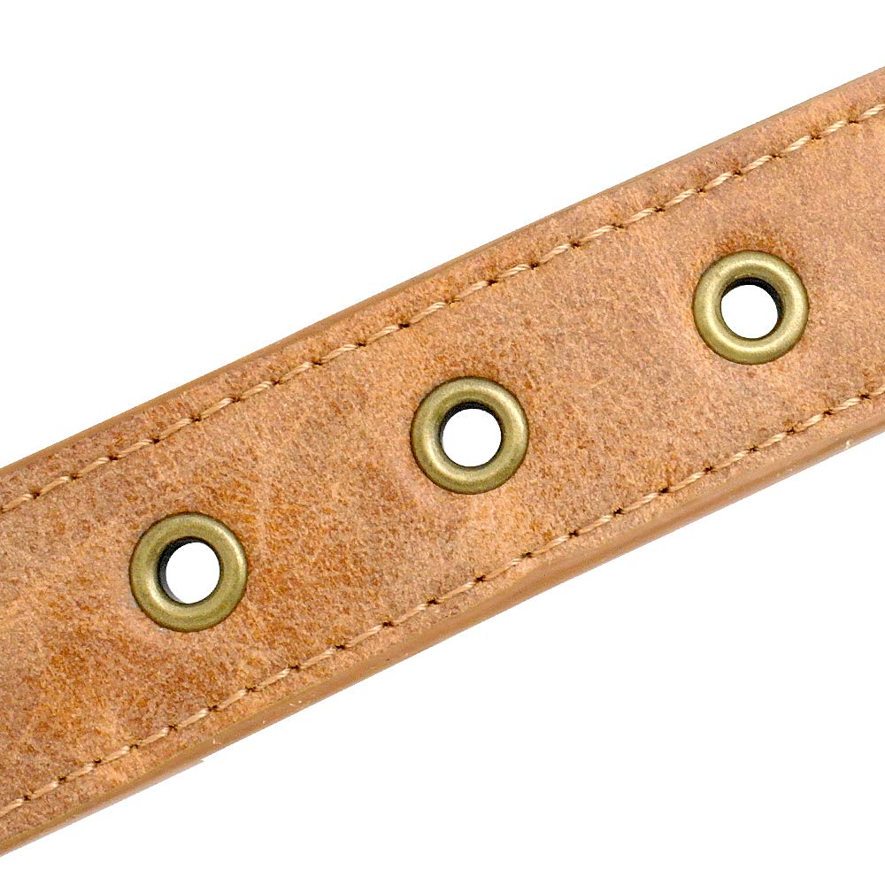 Berry Pet 2' Spiked Leather Dog Collar - Anti-Bite Sharp Rivet Studded For Pit Bull Medium Large Dogs,Brown Neck For 18.5-23.5' Total Length 25.5'