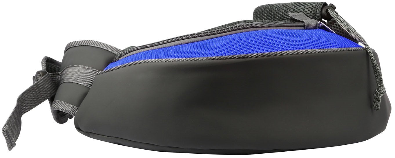 HG PetPuppyCarrier(Blue L) GPCT1096