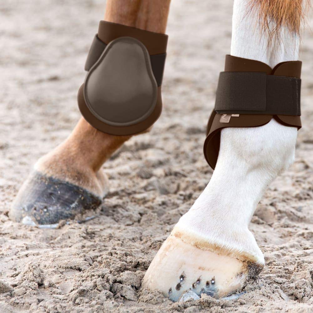 HORZE Horse Fetlock Boots, Protective, Lightweight, Adjustable, Neoprene-Lined, with Hook-and-Loop Fasteners (Sold in Pairs) - C