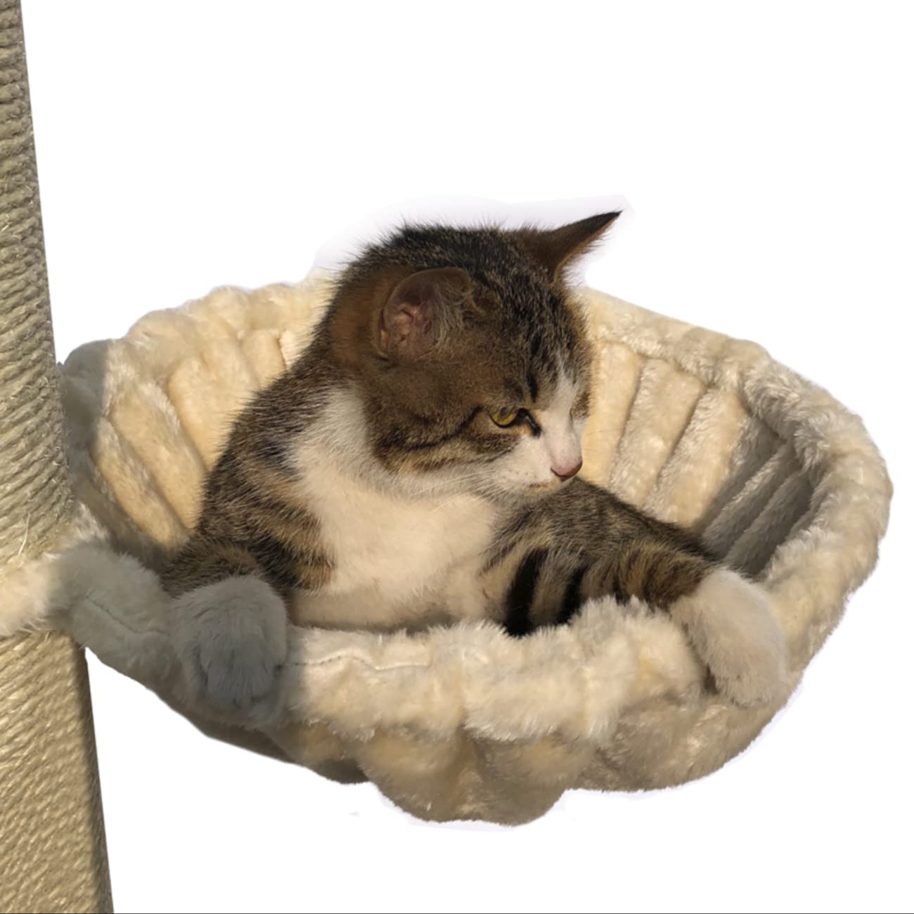 Shengocase 13.2'' Beige Nest Basket Lounger Hammock Bed For Cat Tree Tower Replacement, 5-Pack Hanging Ball Toys With Elastic St