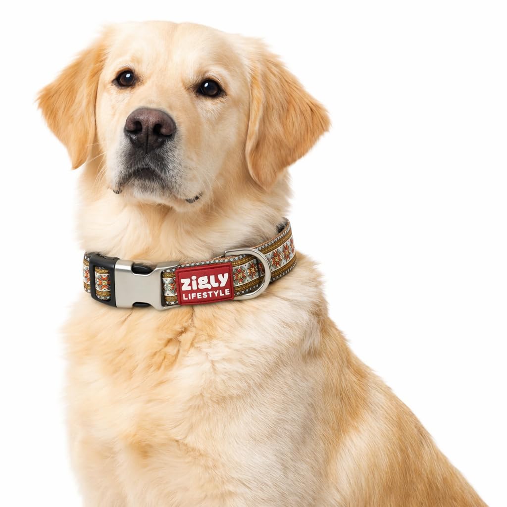 Zigly Lifestyle Heritage Adjustable Dog Collar For Small Dogs | Durable Pet Neck Collar With Secure Buckle & Metal DRing | Comf