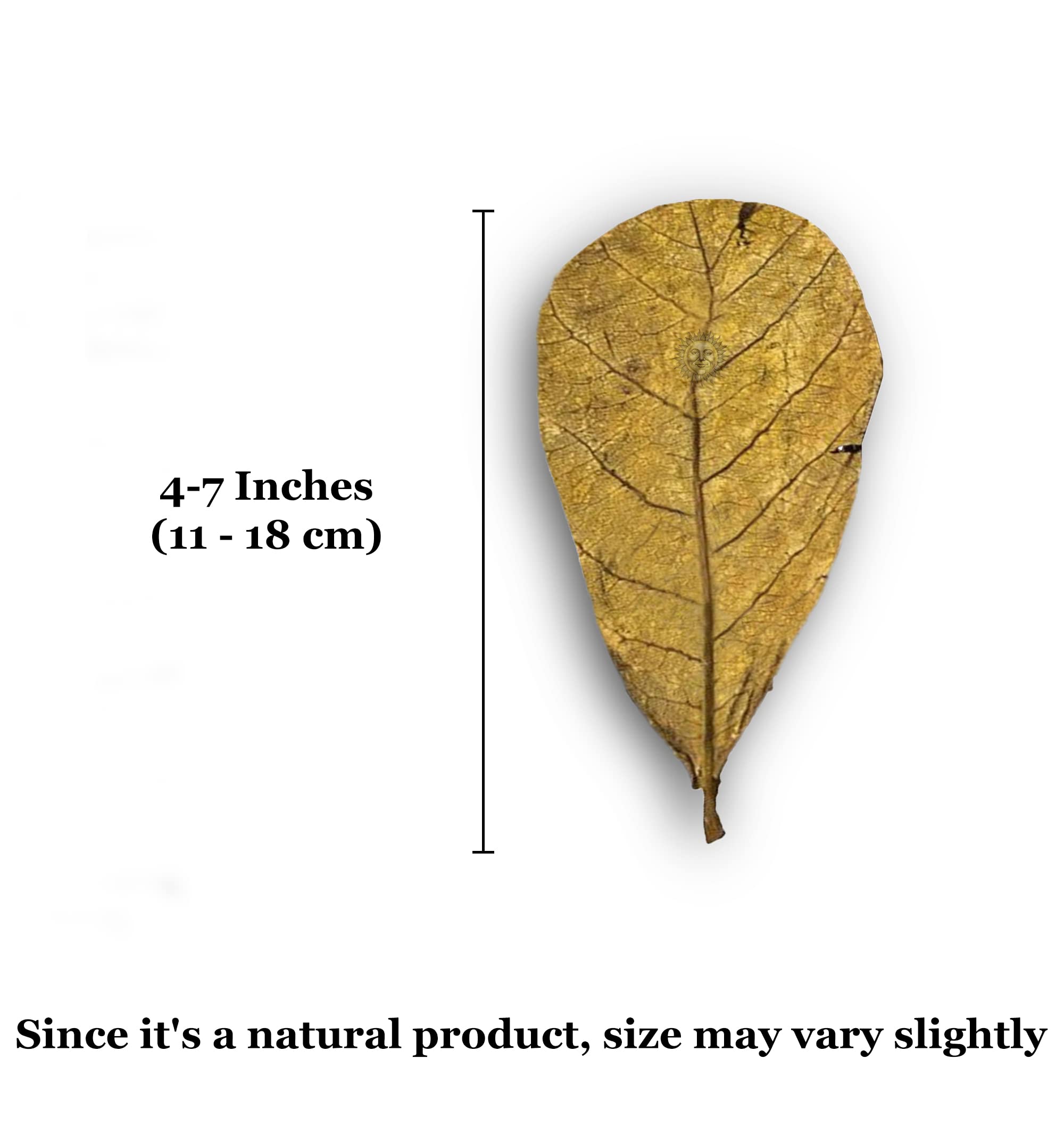 SunGrow 10 Pack Axolotl Indian Almond Leaves for Aquarium, 5-Inches, Catappa Leaf Soothes Pets Slime Skin, Aquarium Water Condit