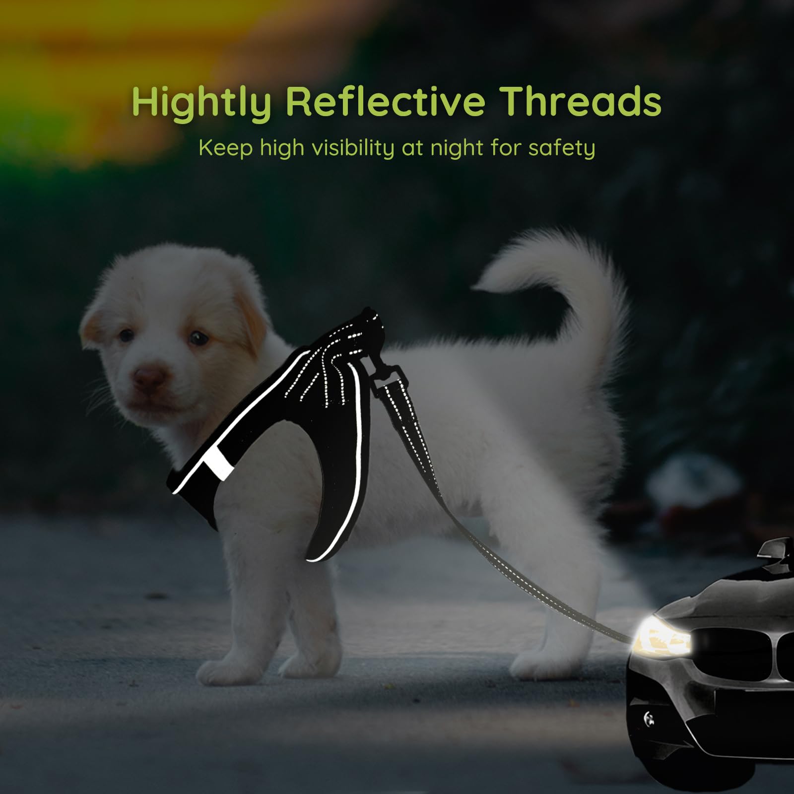 Bella & Pal Puppy Harness & Leash Set, No Pull Harness For Extra Small Dogs, Black Xxs