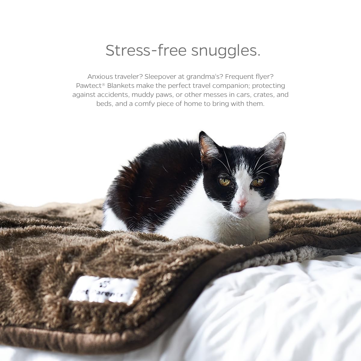 Pet Parents Pawtect Premium Waterproof Cat & Dog Blanket With Wickquick & Sherpup Technology, Puppy & Cat Blanket, Choc 50X60