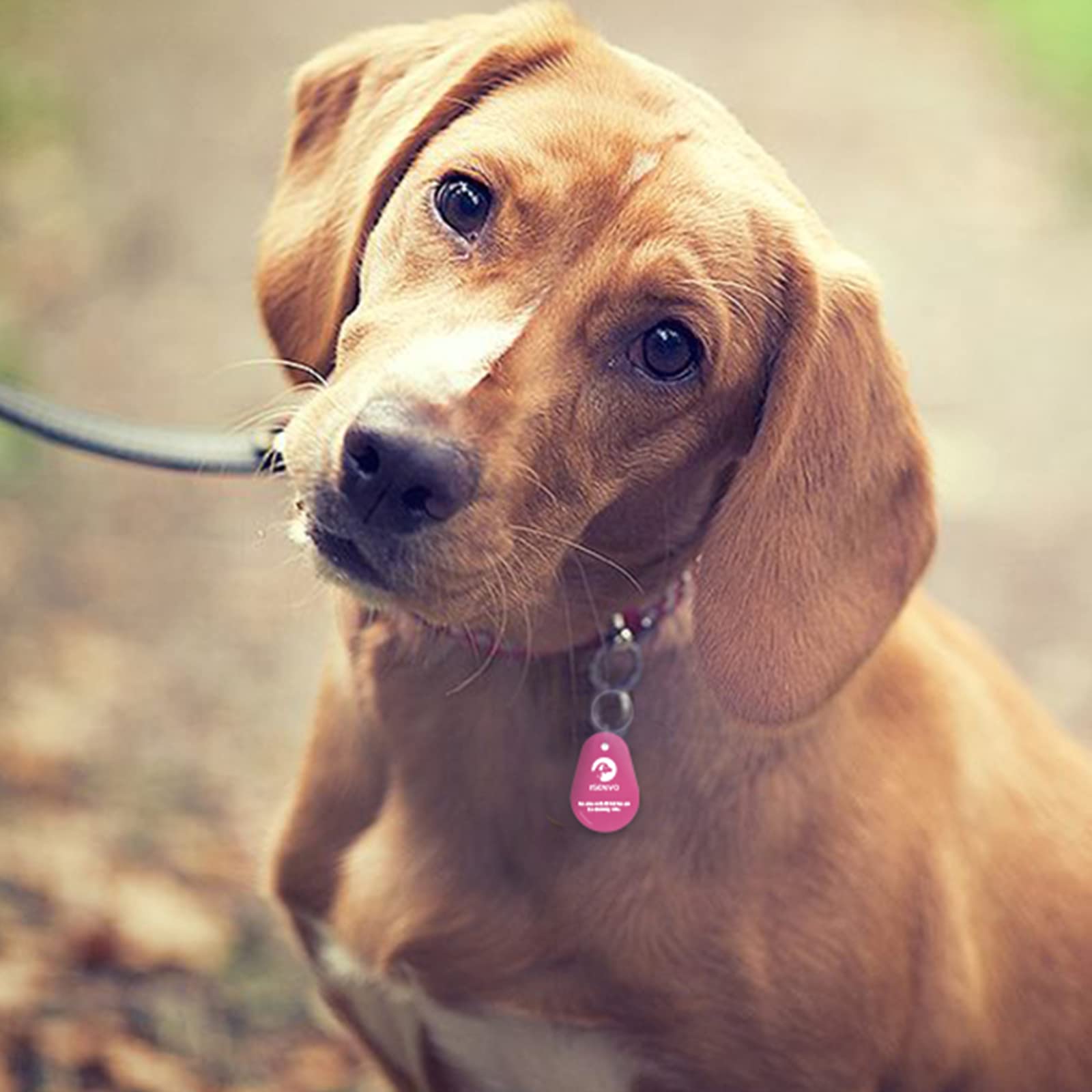 Pet Id Tag With Microchip Inside, Use For Smart Auto Pet Door And Feeder,Waterproof And Durable Pet Id Tag With Free Registratio